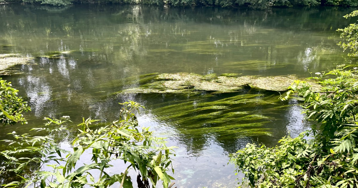 Marche St-Etienne du Vauvray