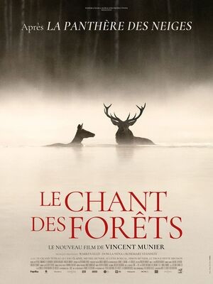 Ciné : Le chant des forêts