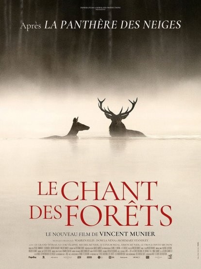 FILM LE CHANT DES FORETS