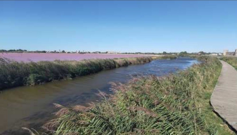 Balade Aigues Mortes