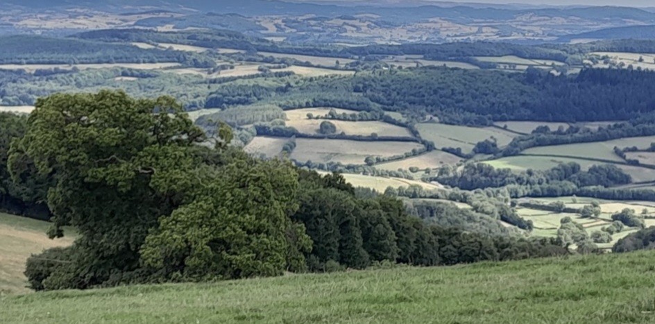 Séjour randonnées dans le Morvan