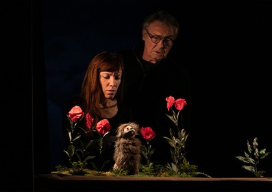 Festival Le Fil : Sur les pas d'Oodaaq