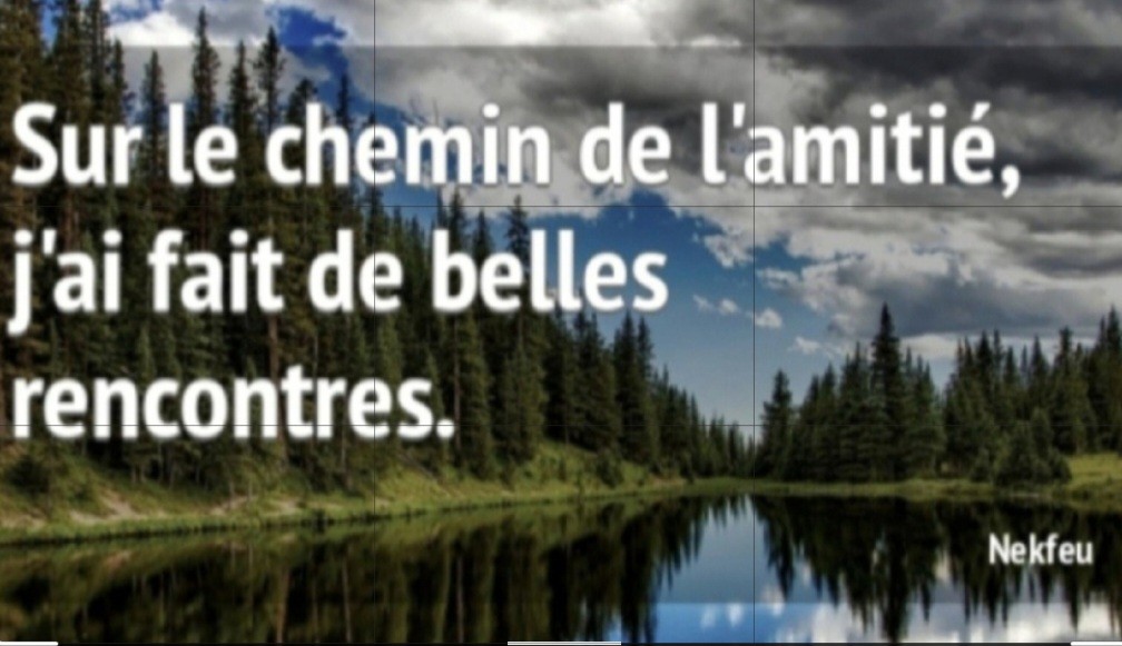 Réunion d'information sur l'association AFS