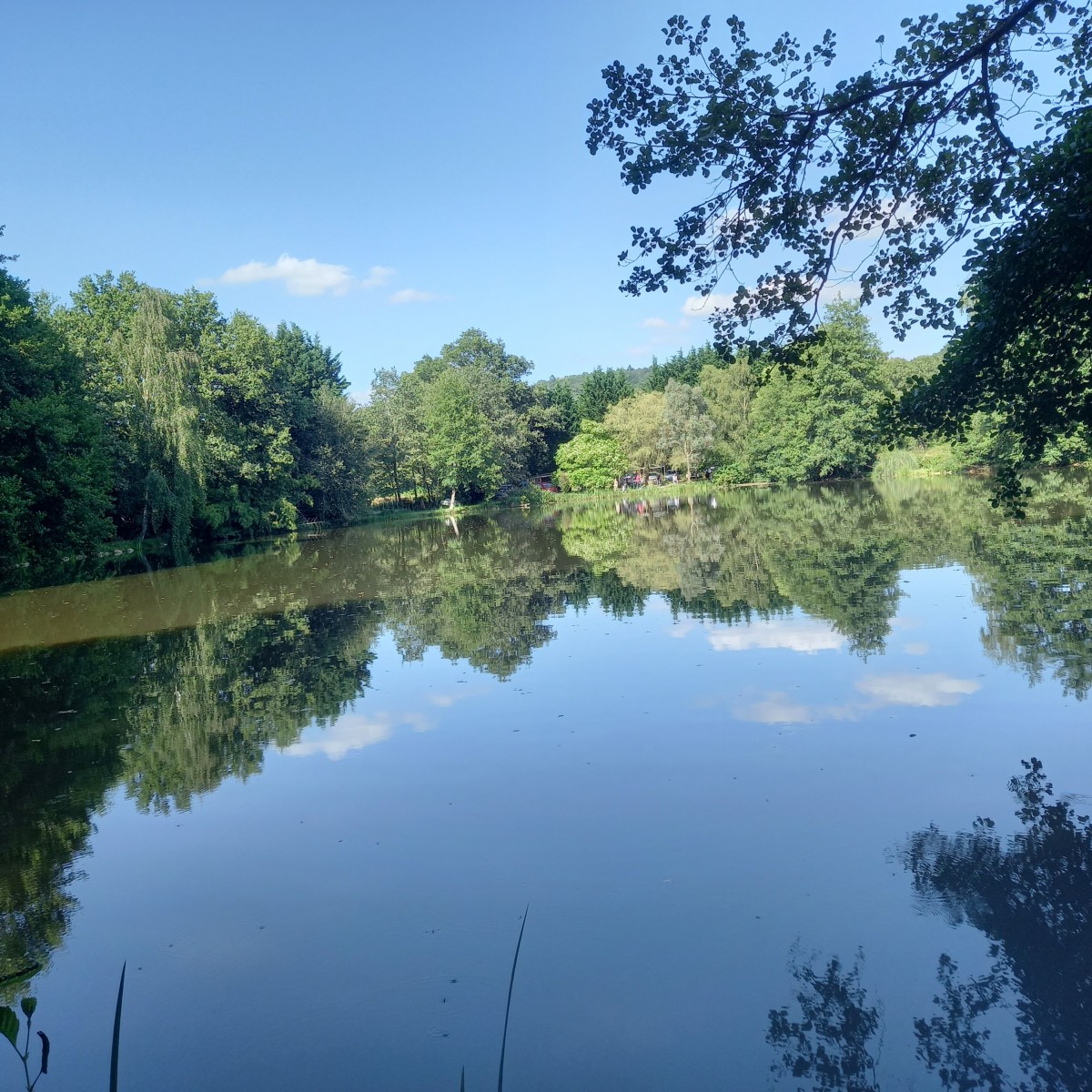 Journée à la campagne - Ste Gemmes le R.