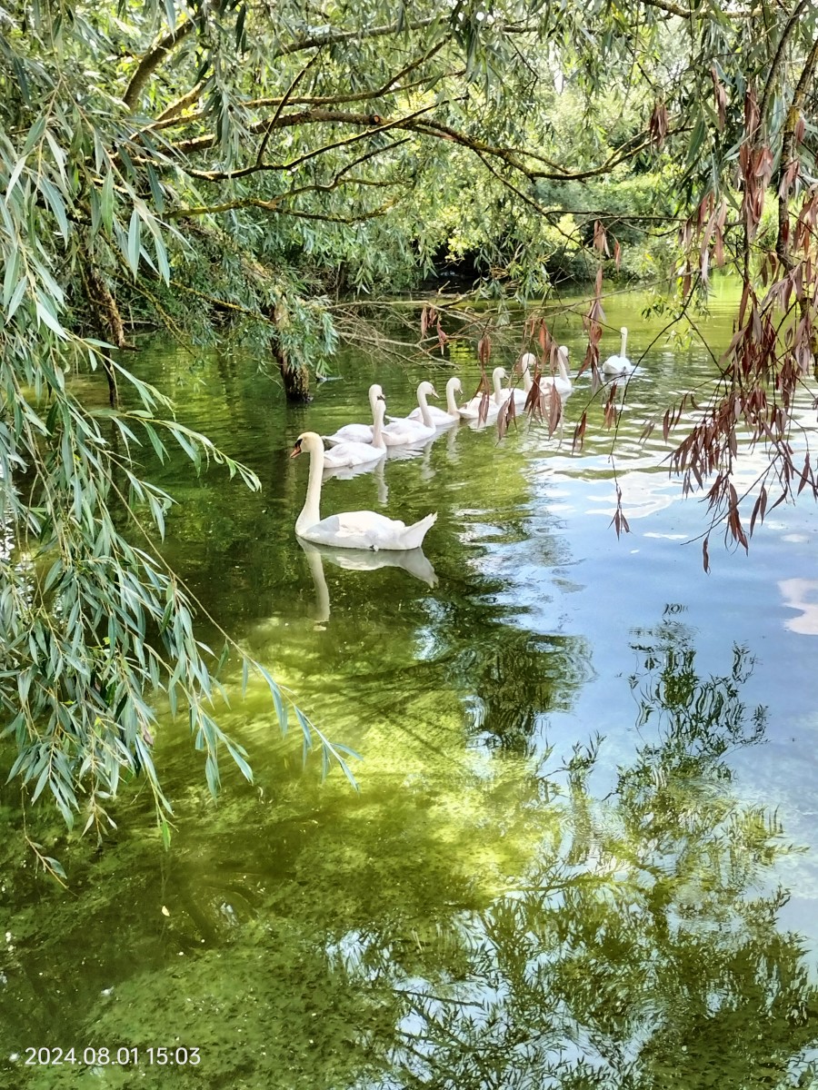 Pique Nique à Villers Pol