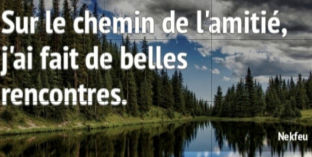 Réunion d'information sur l'association AFS