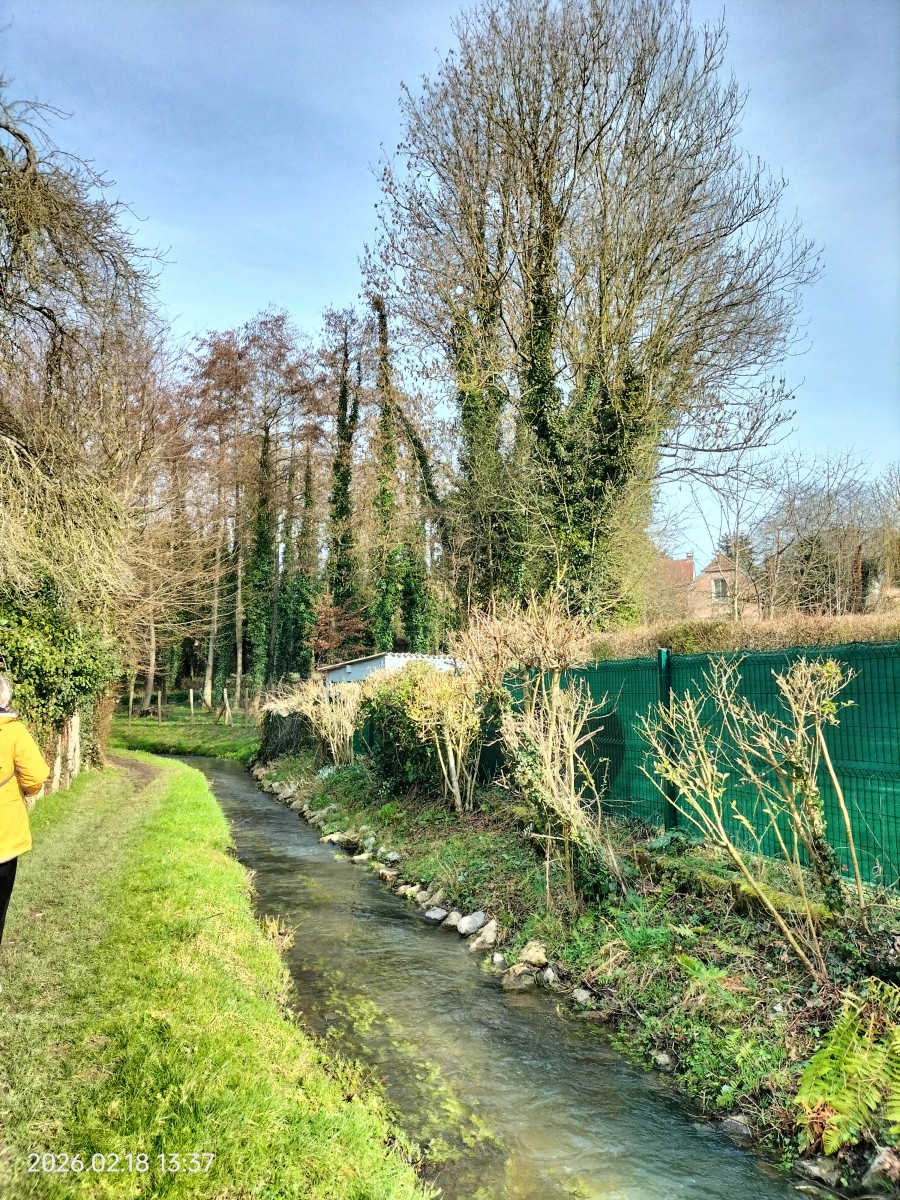 Marche, Du Sart Au Caillou Qui Bique.