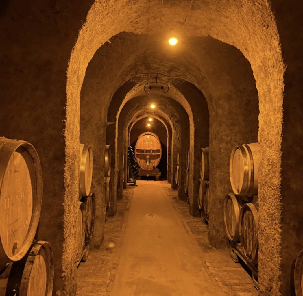 La cave aux coquillages