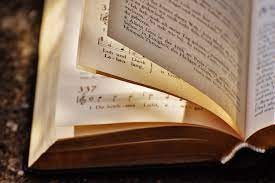 RENCONTRES DES LECTOPHILES