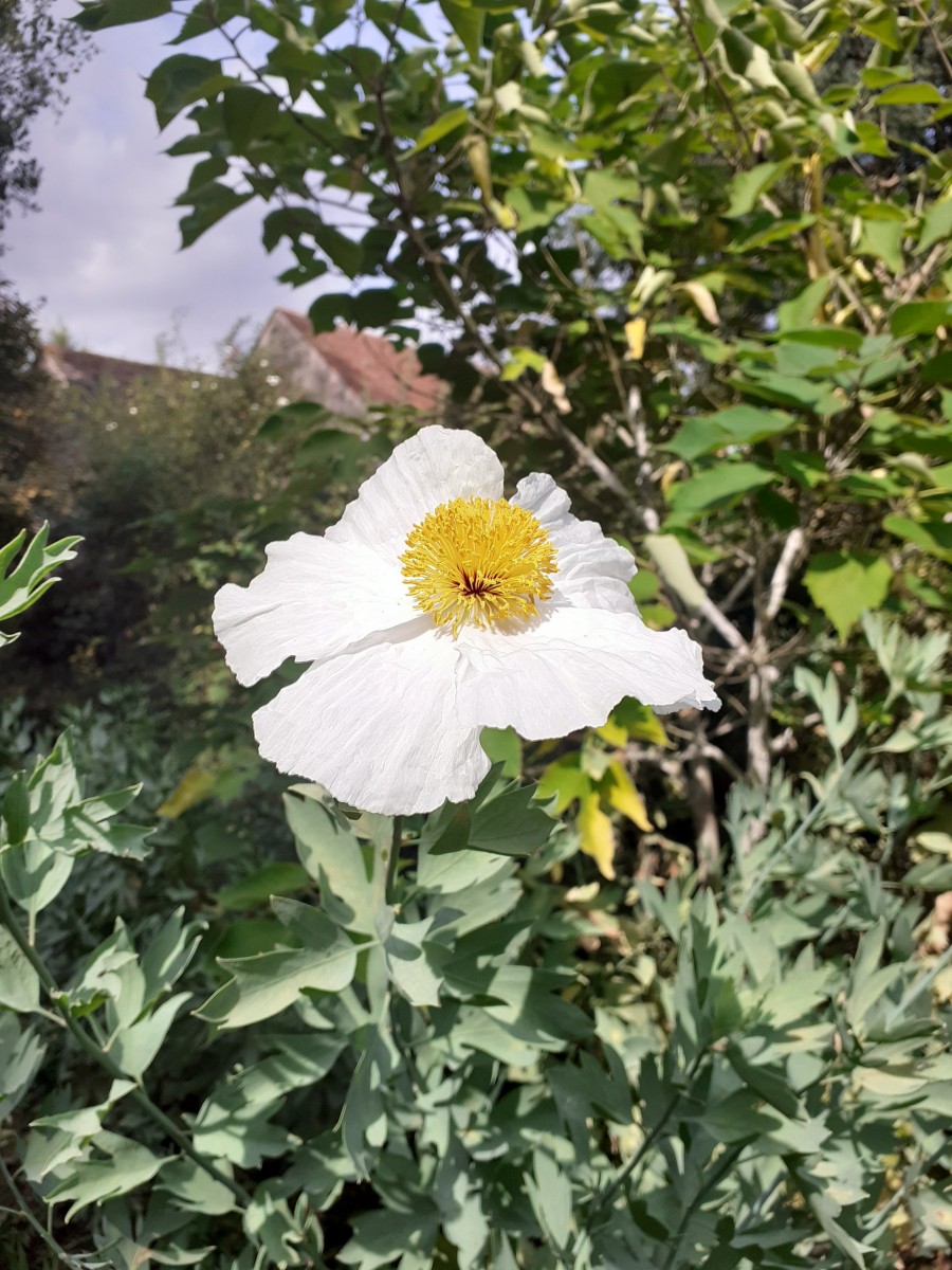 Randonnée de 12 kms à Ingré le 19 avril