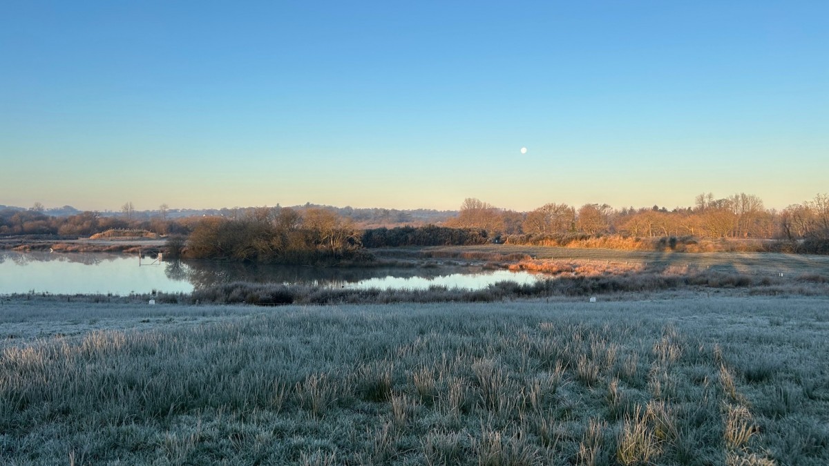 Sortie nocturne à la rencontre des chauves-souris, Brest (29)
