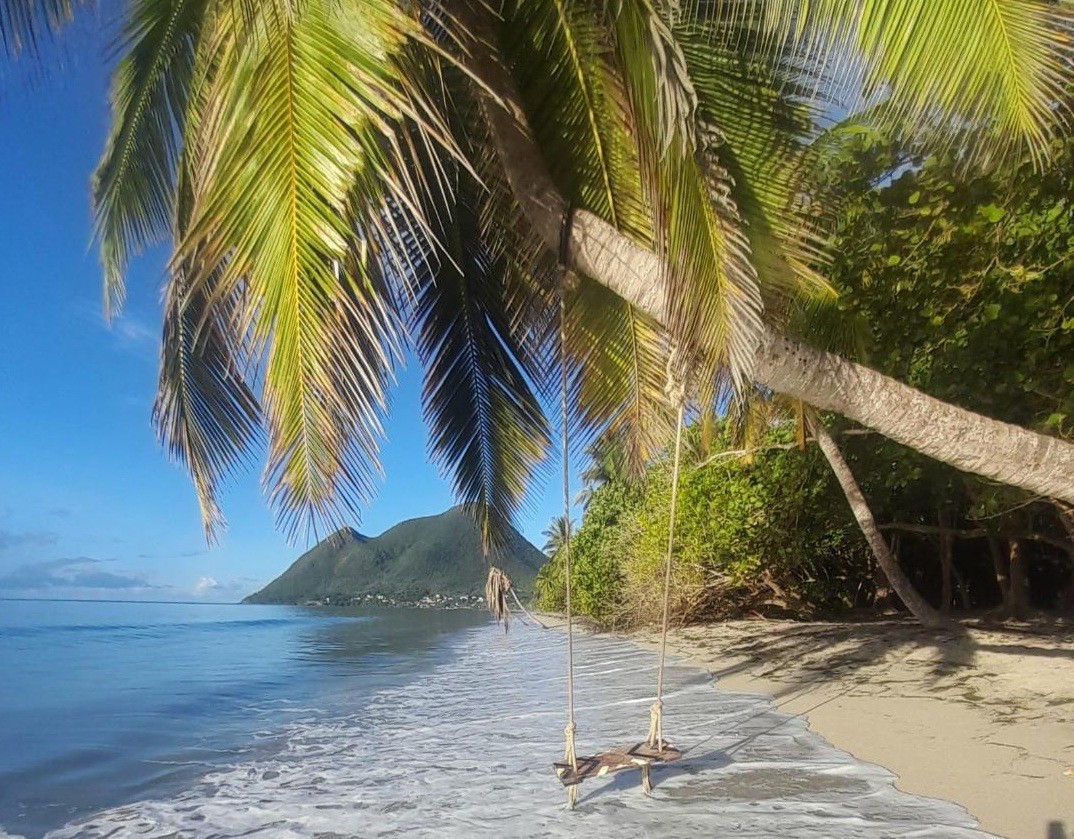 Accueil des Nouveaux