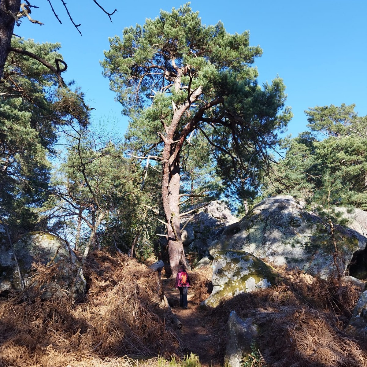 RANDO CABARET MASSON