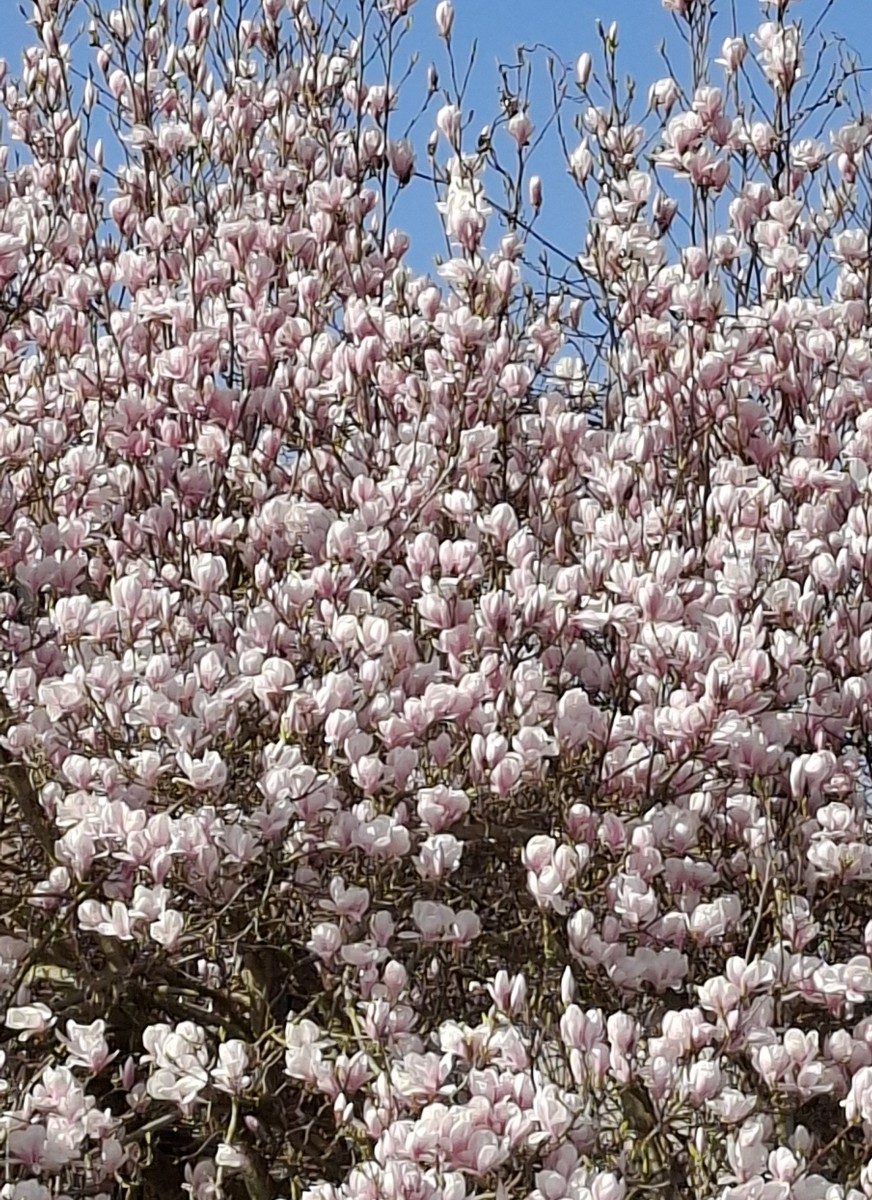 La balade des gens heureux.
