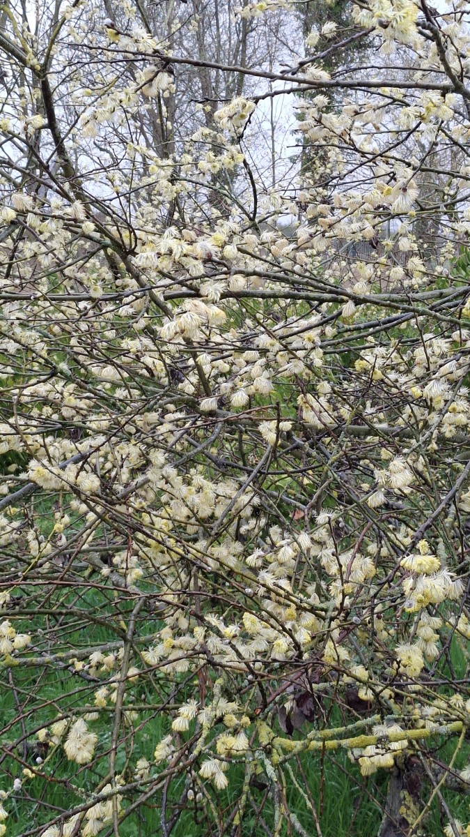 La balade des gens heureux.