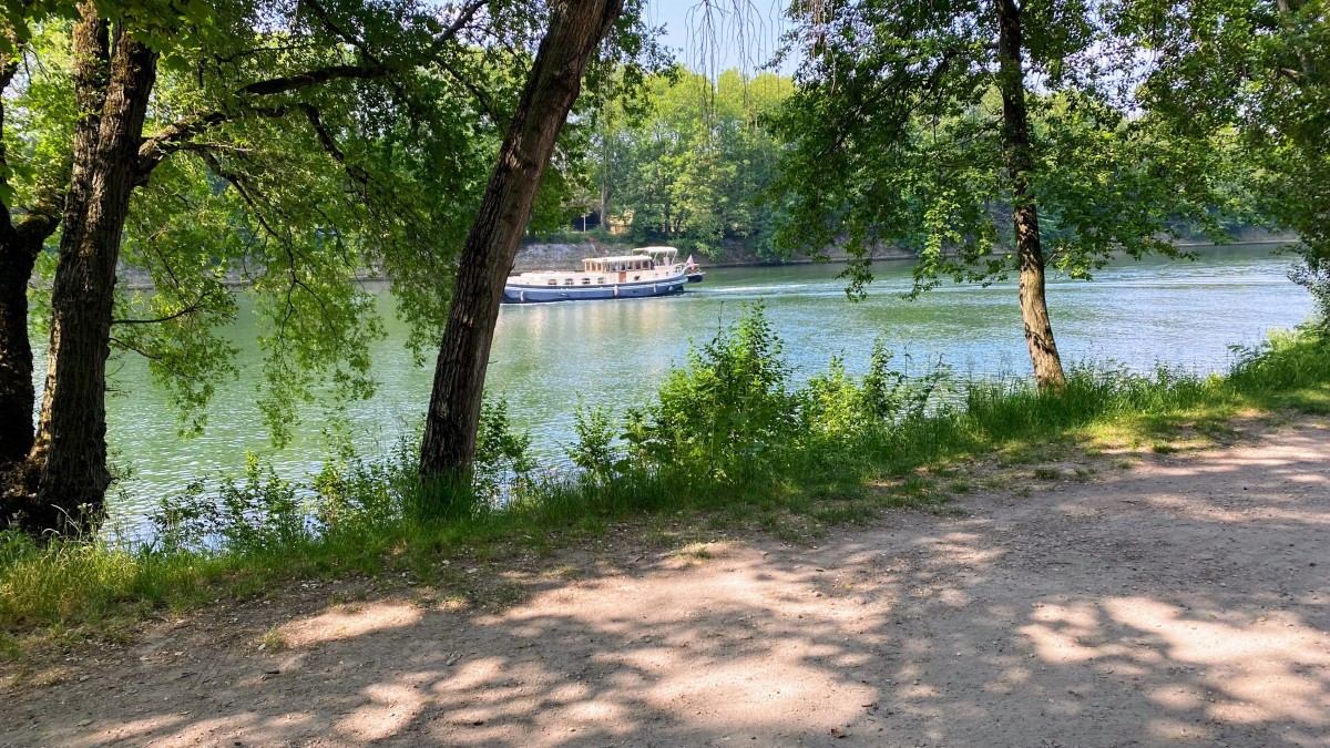 Marche rapide objectif 5 km/heure