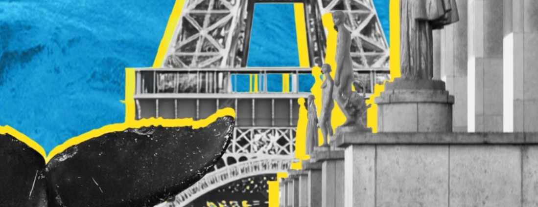 Trois jours pour regarder l'océan autrement