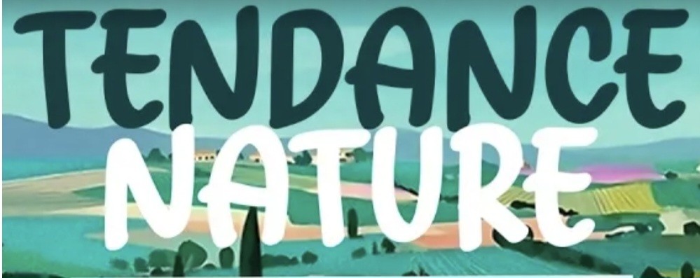 Salon tendance nature et gastronomie