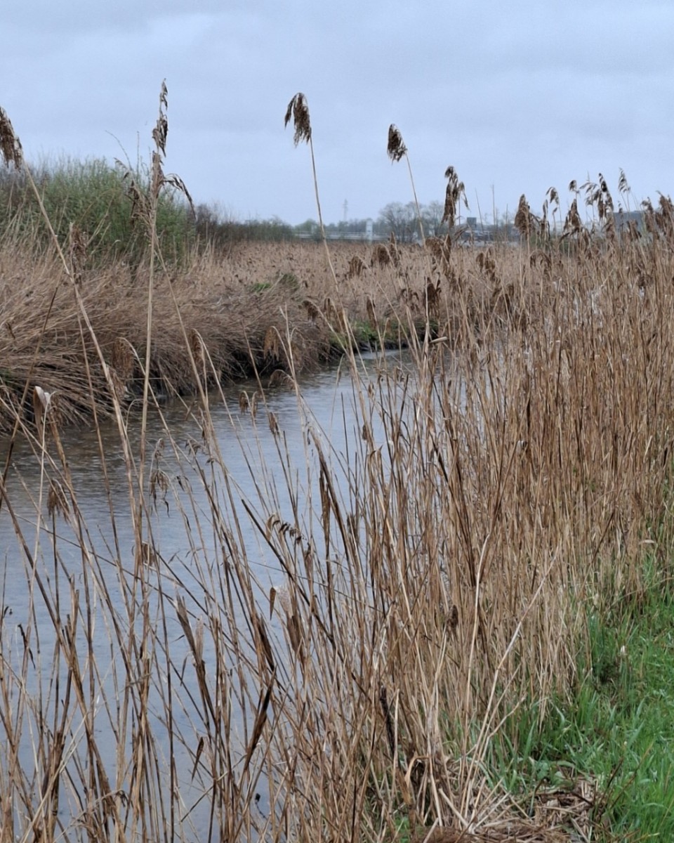 La balade des gens heureux.