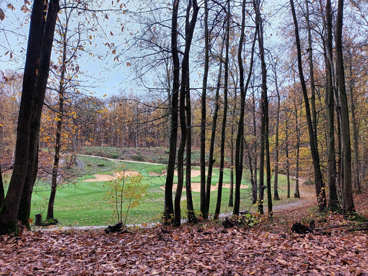 Rando 15k forêt de Marly (78)