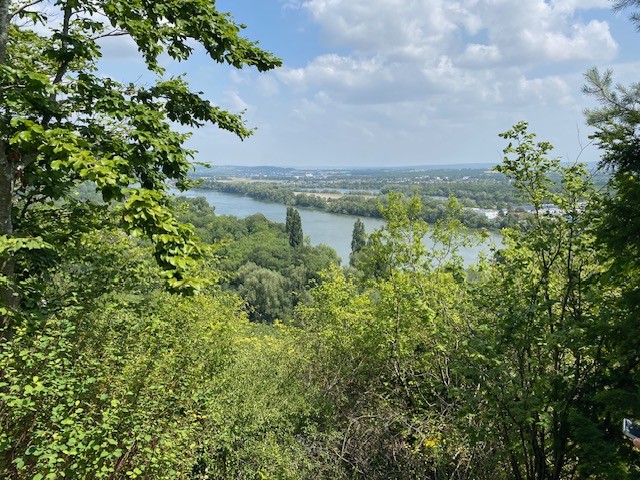 Marche au Petit-Essart