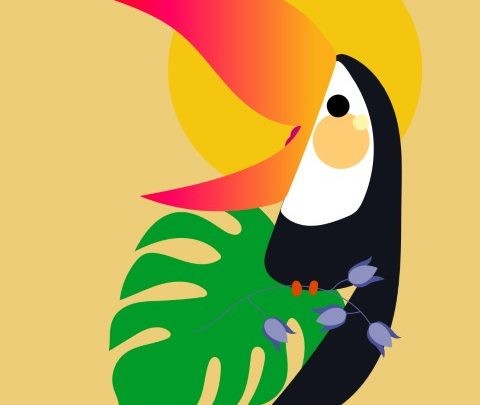 spectacle concert  aux couleurs d Amérique du sud