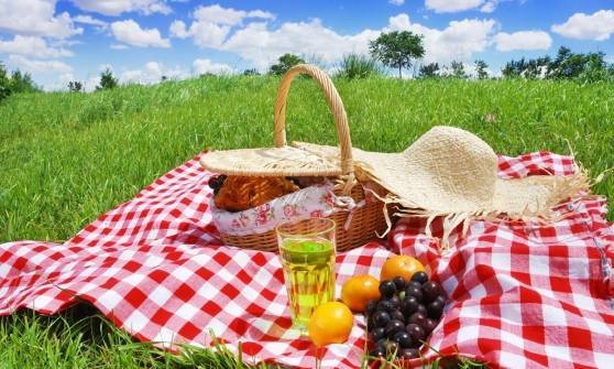 Pique-nique à la base de loisirs