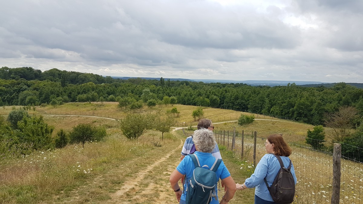 Marche 9 km Le plateau d'Andilly