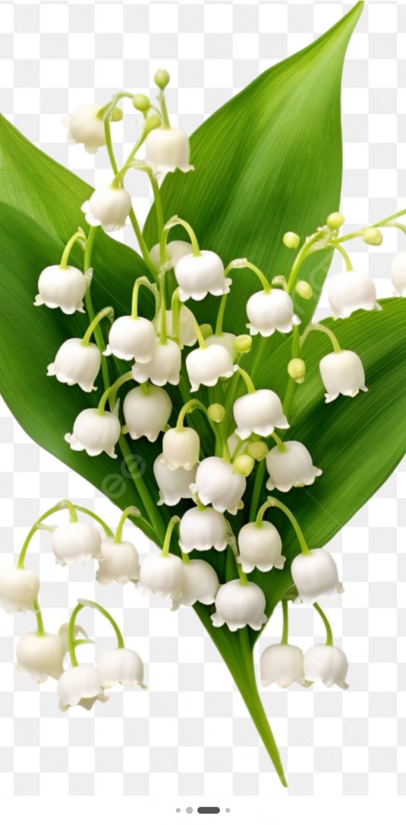 Brunch du mois de Mai