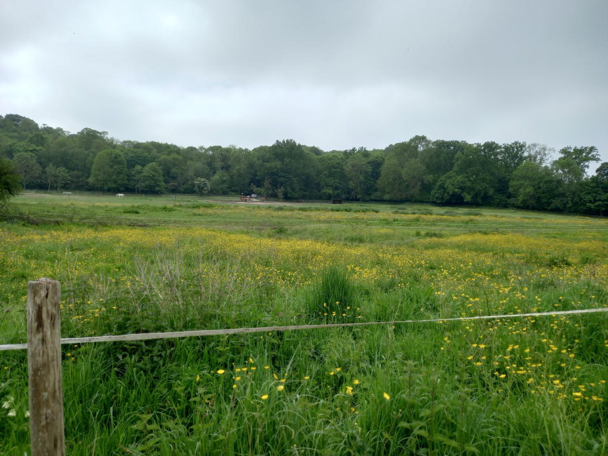 Rando 14k sources de l'Yvette (78)