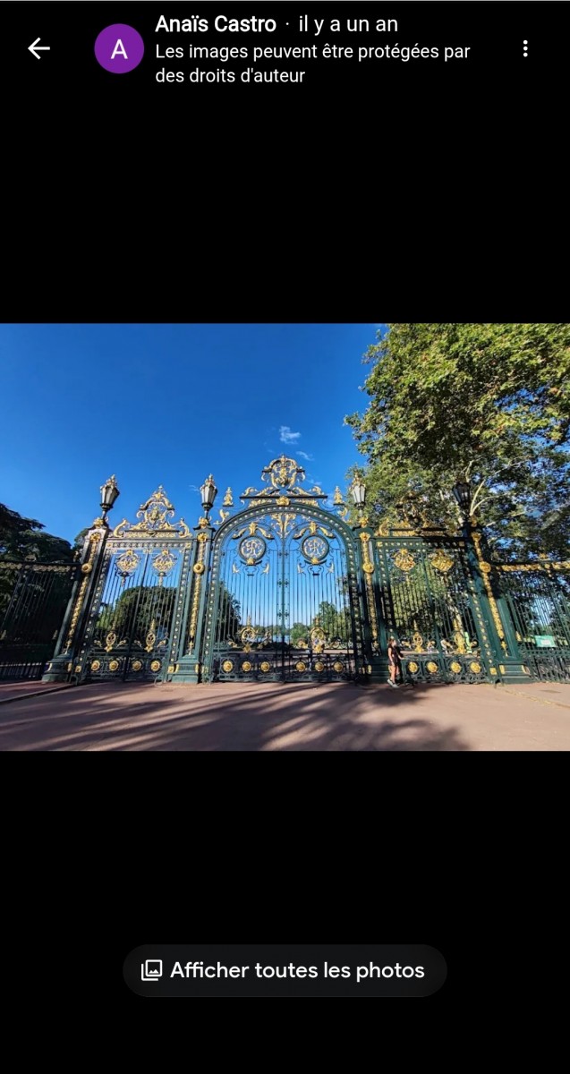 Marche au Parc de la Tête d'Or