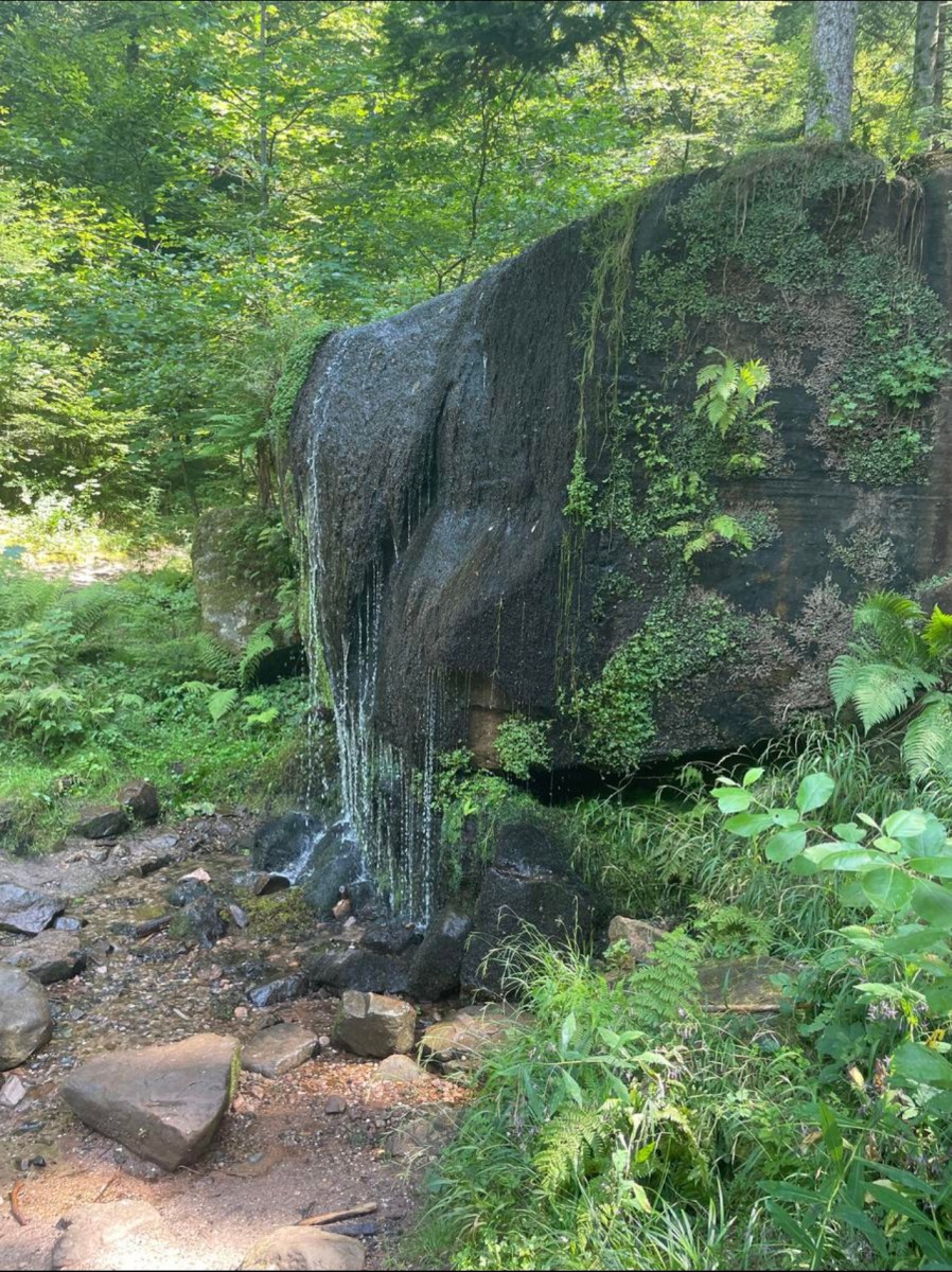 Randonnée cascade des Molières