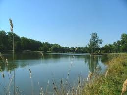 une balade au étangs de luisant et de barjouville