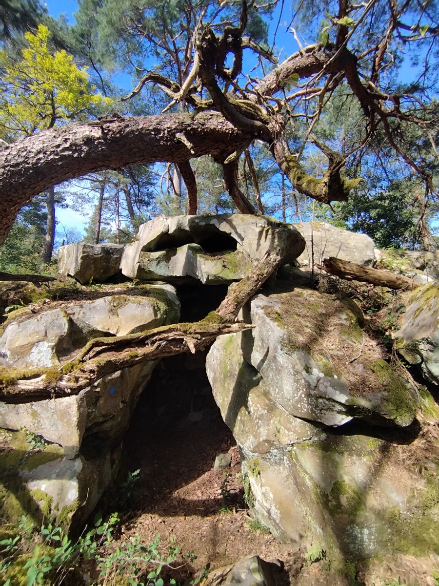 RANDO BOURON MARLOTTE