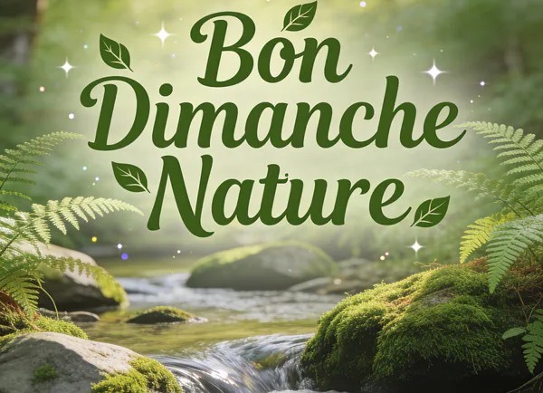 Balade du dimanche : lacs Igoville