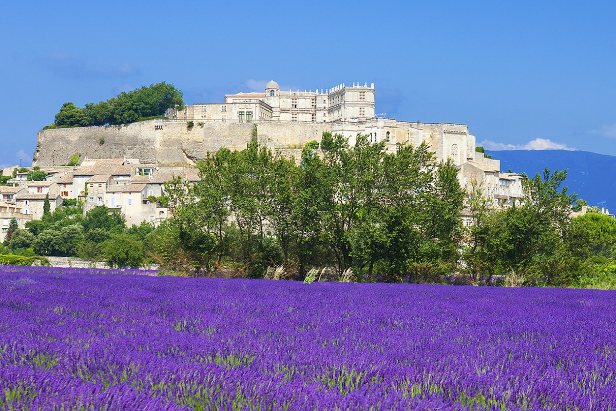 Visite du village de Grignan
