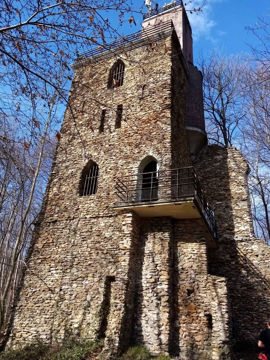 Marche 8 km en forêt de Montmorency