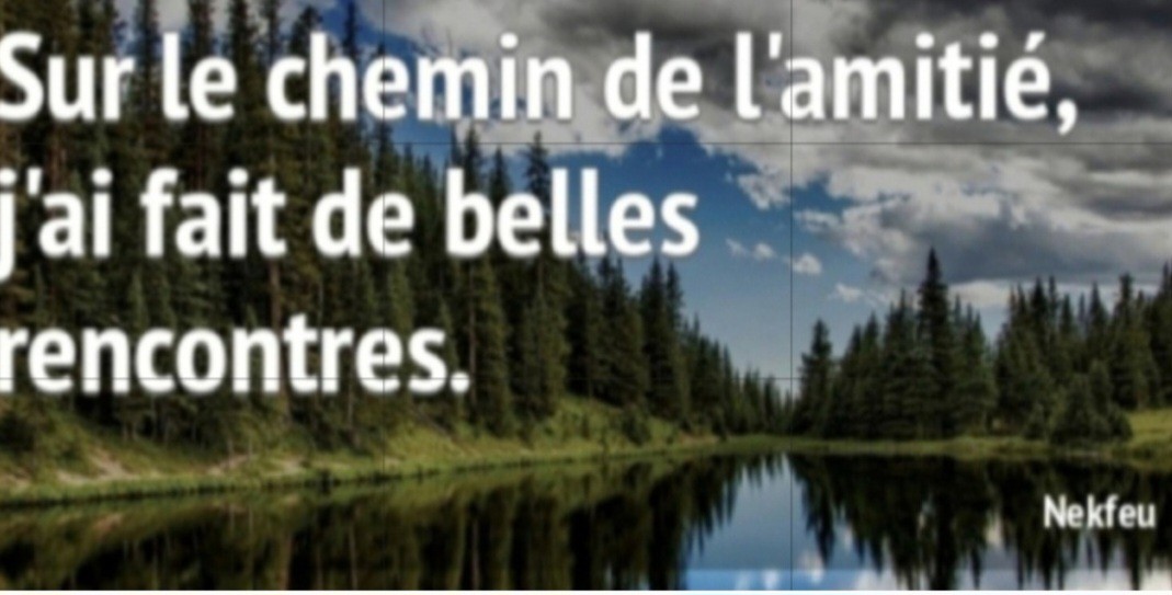 Réunion d'information sur l'association AFS