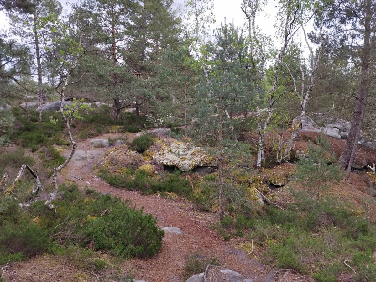 RANDO ROCHERS DES SABLONS
