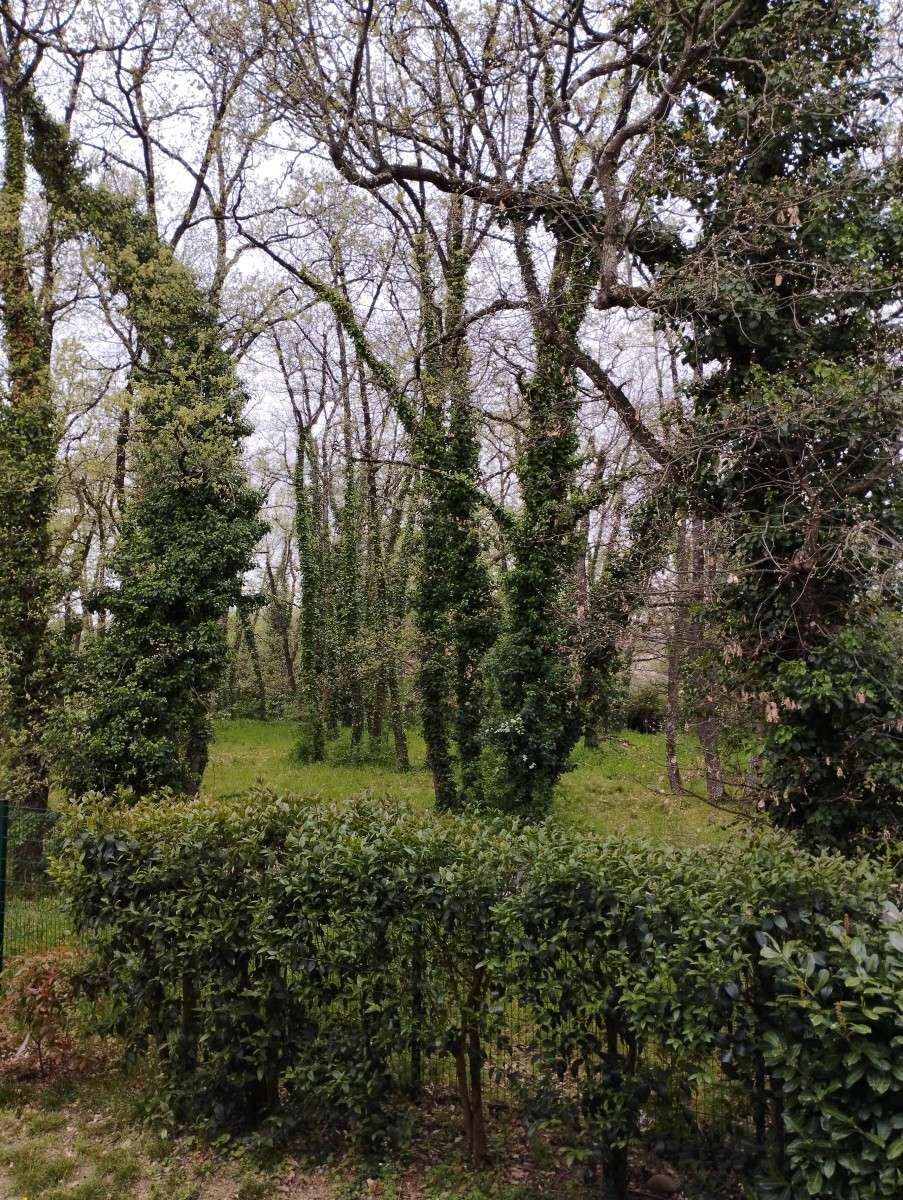 A la découverte d'endroits zen
