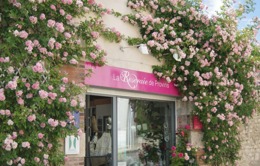 Visite de la Roseraie de Provins