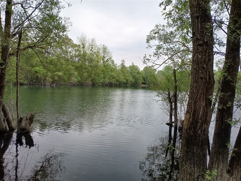 Jeudi balade lacs d'Igoville bis