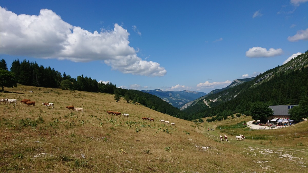 RANDO PLATEAU DES ALLIERES