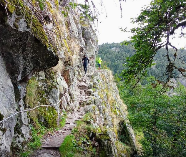 Randonnée Sentier des roches col de la Schlucht