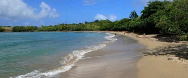 Pique nique plage