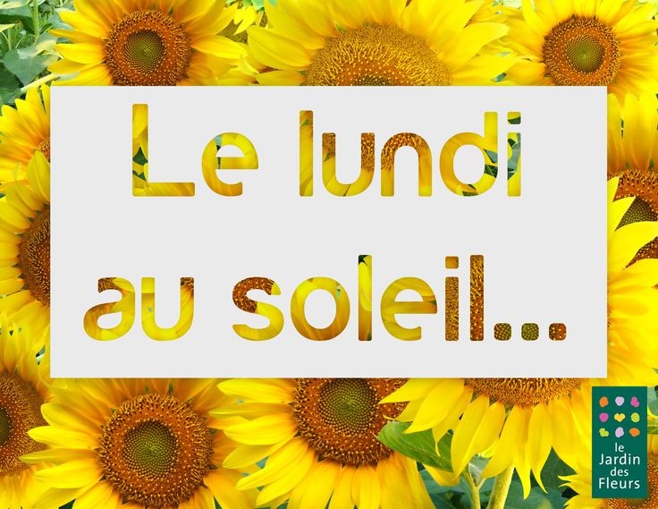 Lundi au soleil :