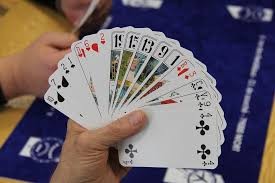 Jeux de tarot et Belote au TSBV