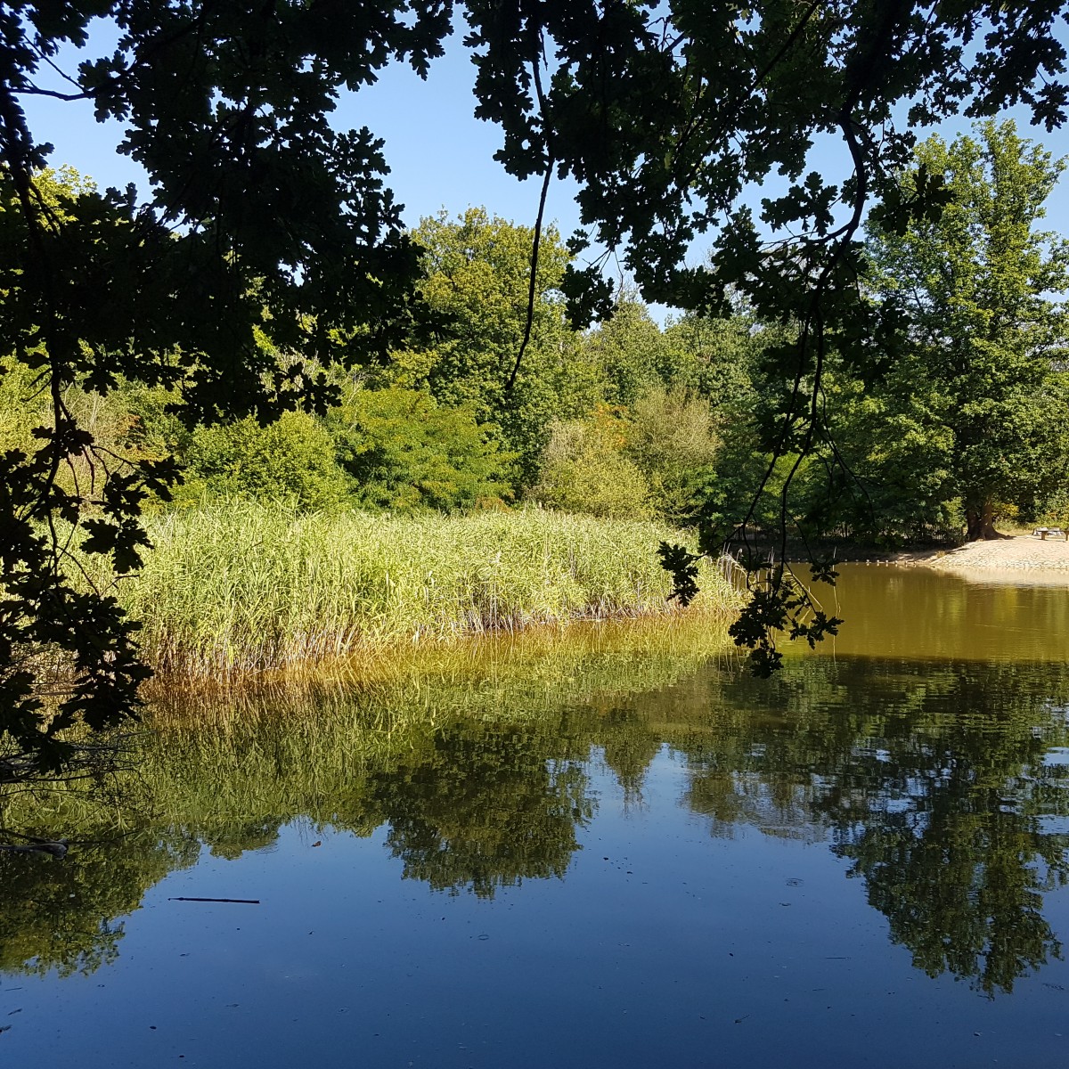 Marche à l'ombre ! 8 km