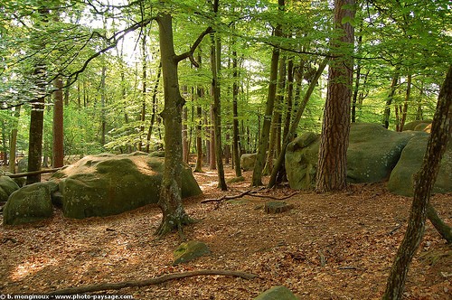 Randonnée sur les hauteurs de Fontainebleau