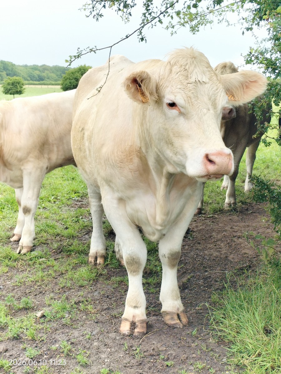 Marche, sentier des Etoquies à Landrecies